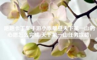 跑跑卡丁车手游小乖攀登天下第一山的心愿怎么完成(天下第一山任务攻略)