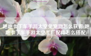 跑跑卡丁车手游太空兔宠物怎么获得(跑跑卡丁车手游太空工厂配件怎么搭配)