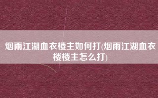 烟雨江湖血衣楼主如何打(烟雨江湖血衣楼楼主怎么打)