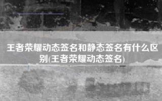 王者荣耀动态签名和静态签名有什么区别(王者荣耀动态签名)