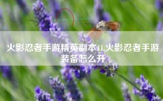 火影忍者手游精英副本41,火影忍者手游装备怎么升
