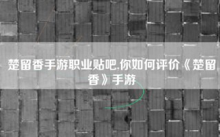 楚留香手游职业贴吧,你如何评价《楚留香》手游