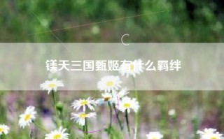 镁天三国甄姬有什么羁绊