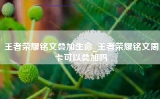 王者荣耀铭文叠加生命_王者荣耀铭文周卡可以叠加吗
