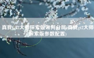 真我GT2大师探索版如何分屏(真我gt2大师探索版参数配置)