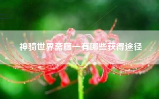 神骑世界斋藤一有哪些获得途径