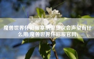 魔兽世界怀旧服塞纳里奥议会声望有什么用(魔兽世界怀旧服官网)