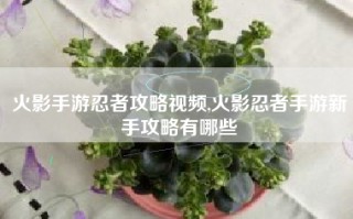 火影手游忍者攻略视频,火影忍者手游新手攻略有哪些
