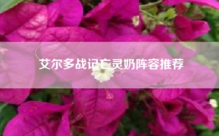 艾尔多战记亡灵奶阵容推荐