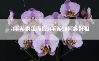 cf手游瞬狙面板,cf手游如何练好狙