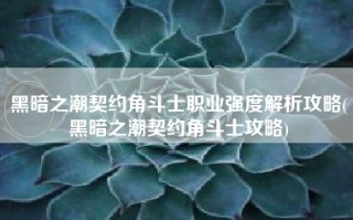 黑暗之潮契约角斗士职业强度解析攻略(黑暗之潮契约角斗士攻略)