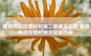 魔镜物语狩猎时刻第二章通关攻略(魔镜物语狩猎时刻攻略第四章)