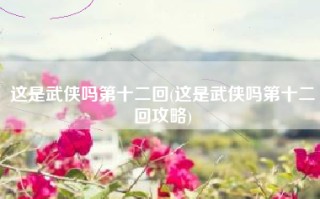 这是武侠吗第十二回(这是武侠吗第十二回攻略)