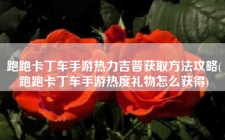 跑跑卡丁车手游热力吉普获取方法攻略(跑跑卡丁车手游热度礼物怎么获得)