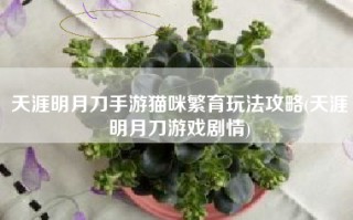 天涯明月刀手游猫咪繁育玩法攻略(天涯明月刀游戏剧情)