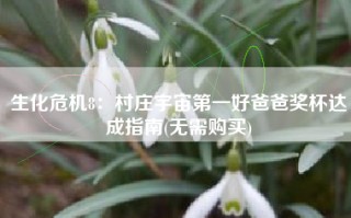 生化危机8：村庄宇宙第一好爸爸奖杯达成指南(无需购买)