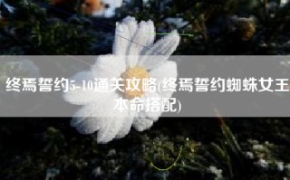 终焉誓约5-10通关攻略(终焉誓约蜘蛛女王本命搭配)