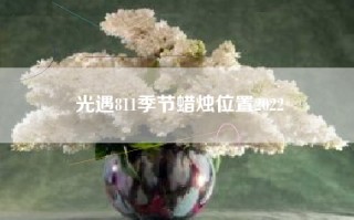 光遇811季节蜡烛位置2022