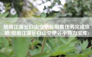 烟雨江湖长白山空绝谷前置任务完成攻略(烟雨江湖长白山空绝谷小势力宝库)
