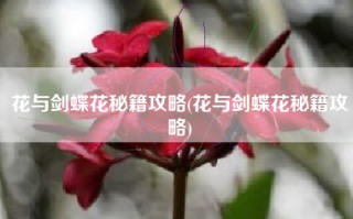 花与剑蝶花秘籍攻略(花与剑蝶花秘籍攻略)