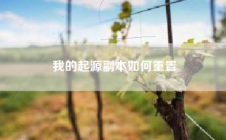 我的起源副本如何重置