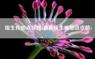 琉生传加点攻略(最新琉生传加点攻略)