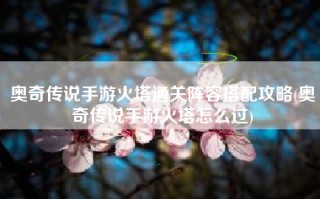 奥奇传说手游火塔通关阵容搭配攻略(奥奇传说手游火塔怎么过)