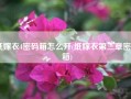 纸嫁衣4密码箱怎么开(纸嫁衣第三章密码箱)