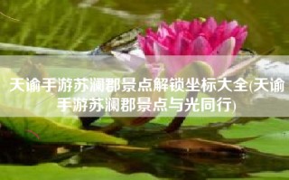 天谕手游苏澜郡景点解锁坐标大全(天谕手游苏澜郡景点与光同行)