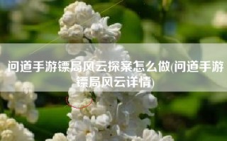 问道手游镖局风云探案怎么做(问道手游镖局风云详情)