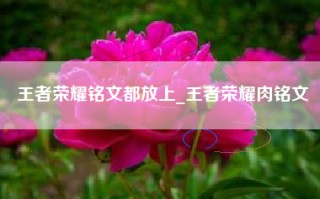 王者荣耀铭文都放上_王者荣耀肉铭文