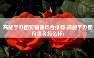 高能手办团狩猎者场合推荐(高能手办团狩猎者怎么样)