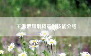 王者荣耀荆轲重做技能介绍
