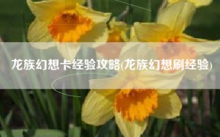 龙族幻想卡经验攻略(龙族幻想刷经验)