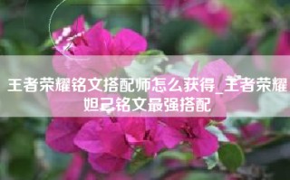 王者荣耀铭文搭配师怎么获得_王者荣耀妲己铭文最强搭配