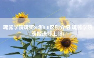 魂器学院魂姬SR和UR区别介绍(魂器学院魂姬进修上限)