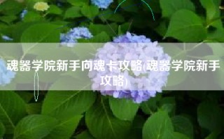 魂器学院新手向魂卡攻略(魂器学院新手攻略)