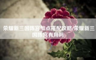 荣耀新三国陈宫加点搭配攻略(荣耀新三国陈宫有用吗)