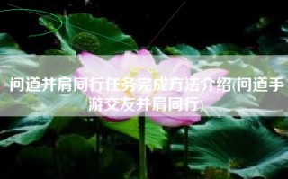 问道并肩同行任务完成方法介绍(问道手游交友并肩同行)