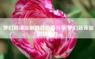 梦幻新诛仙刷助战心得分享(梦幻新诛仙助战推荐)