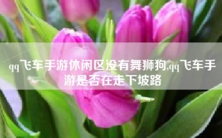 qq飞车手游休闲区没有舞狮狗,qq飞车手游是否在走下坡路