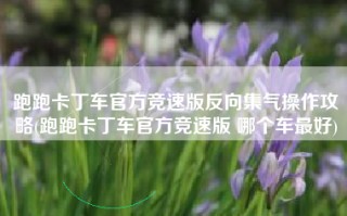 跑跑卡丁车官方竞速版反向集气操作攻略(跑跑卡丁车官方竞速版 哪个车最好)