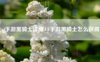cf手游黑骑士详细,CF手游黑骑士怎么获得