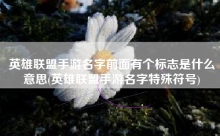 英雄联盟手游名字前面有个标志是什么意思(英雄联盟手游名字特殊符号)