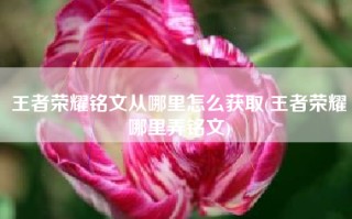 王者荣耀铭文从哪里怎么获取(王者荣耀哪里弄铭文)