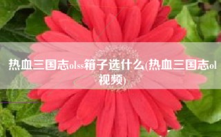 热血三国志olss箱子选什么(热血三国志ol视频)
