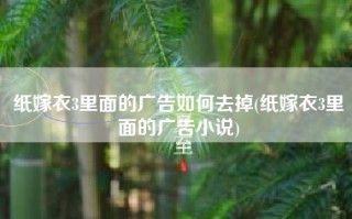 纸嫁衣3里面的广告如何去掉(纸嫁衣3里面的广告小说)