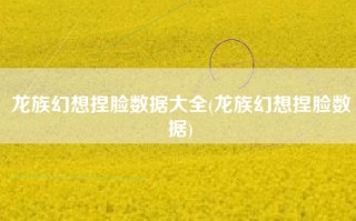 龙族幻想捏脸数据大全(龙族幻想捏脸数据)