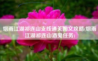 烟雨江湖祁连山支线通关图文攻略(烟雨江湖祁连山酒鬼任务)