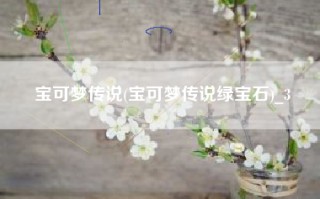 宝可梦传说(宝可梦传说绿宝石)_3